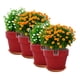 thumbnail image 2 of Set de 4 Maceta Greta 16cm Morron y sus platos, 2 of 3