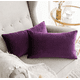 thumbnail image 2 of Pack de 2 Fundas Terciopelo Liso 30x50 cm Morado, 2 of 2