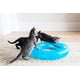 thumbnail image 3 of Juguete interactivo para gatos Fat Cat Crazy Circle con bola de hierba gatera, 3 of 3