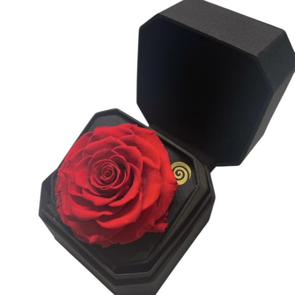 Gift Box 11 Con Rosa Preservada Natural Rojo