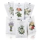 thumbnail image 1 of Bolsitas perfumadas MYARO para cajones y armarios (12 paquetes), 1 of 7