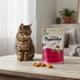 thumbnail image 2 of Cats Treat Galleta Rellena Omegas y Salmon Crunchy 60g, 2 of 3