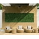 thumbnail image 1 of Jardín Vertical Helecho, 1 of 2