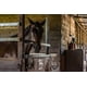 thumbnail image 3 of Equine Wormer Paste Durvet Duramectin, 6 tubos, 3 of 5
