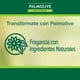 thumbnail image 5 of Jabón Líquido Palmolive Camellia y Aceite De Almendras, 900 ml, 5 of 8
