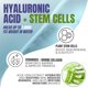 thumbnail image 3 of Suero Facial Alozera Ácido Hialurónico y Células Madre 30 ml, 3 of 7