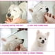 thumbnail image 1 of Kit Tijeras Peluquería Perros Mucheng 5 en 1 Acero Inoxidable, 1 of 3