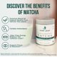 thumbnail image 3 of Té Matcha Jade Leaf Grado Ceremonial Bolsa a Granel 454g, 3 of 7