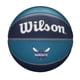 thumbnail image 1 of Baloncesto WILSON NBA Team Tribute, talla 7 - 29.5 Charlotte Hornets, 1 of 2