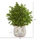 thumbnail image 2 of Planta artificial de pasto dulce Nearly Natural de 45 cm con florero, 2 of 3