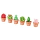 thumbnail image 4 of Mini Plantas Suculentas Artificiales, Bonito Cactus De Resina Con Maceta Especial, 6 Uds., 4 of 5
