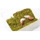 thumbnail image 3 of VIVARIUM Jinymral Kit para Caracoles 28,5 × 20 × 15 cm con Pared de Escalada, 3 of 5