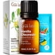 thumbnail image 1 of Aceite esencial de vainilla Gya Labs, 10 ml, para cabello, piel y difusor, 1 of 6