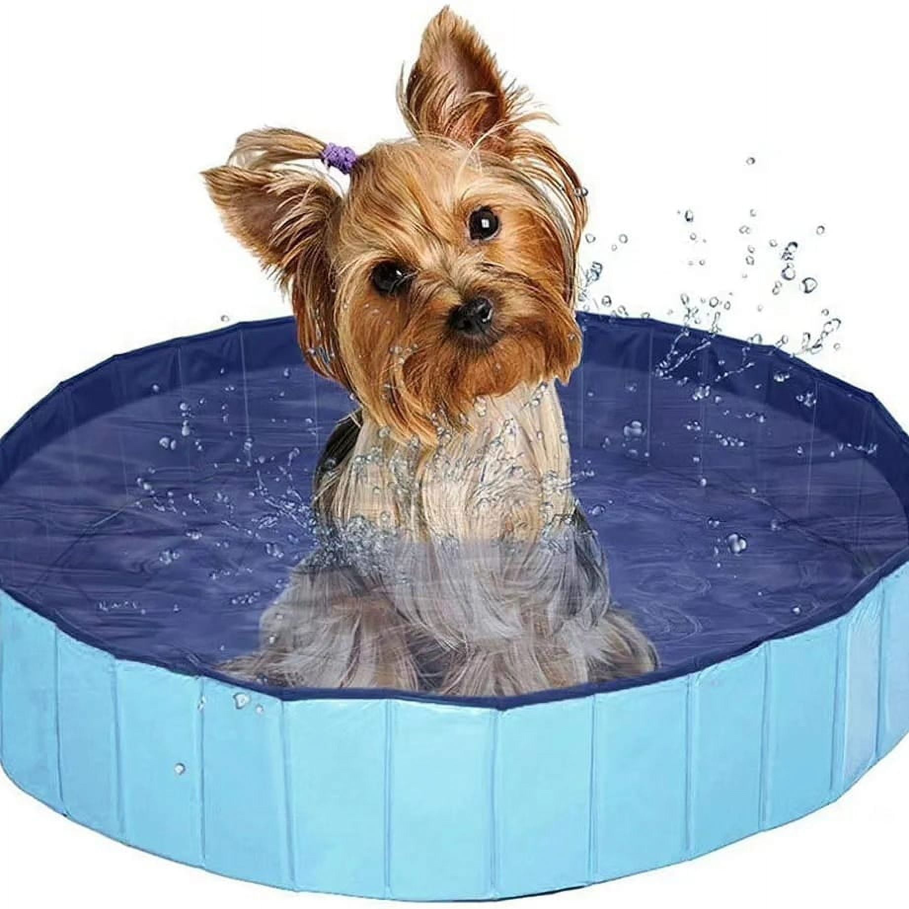 Genérico - Piscina Para Mascotas Perros Y Gatos 120 X 30 Cm