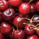 thumbnail image 4 of Ambientador Chemical Guys AIR22816 Fresh Cherry 473 ml, 4 of 4