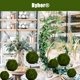 thumbnail image 4 of Bola de musgo decorativa BYHER Natural Green Moss (9 cm), juego de 6, 4 of 7