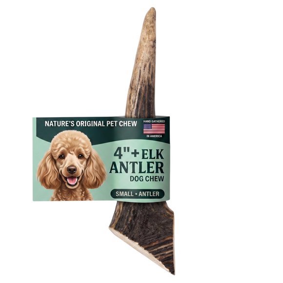 Mordedor para Perro Mountain Valley Antlers Talla S 10 cm (1 unidad)