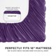thumbnail image 3 of Juego de sábanas Juicy Couture, tamaño queen, color morado satinado, 3 of 7