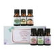 thumbnail image 4 of Pack 6 Esencias para Difusor Humidificador Aceite Esencial, 4 of 6