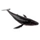 thumbnail image 2 of Ballena Realista Modelo Animal Educación Figura Suave Juguete Para Niños Ballena Jorobada, 2 of 3
