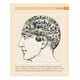 thumbnail image 2 of 100 Conceptos - Psicología, 2 of 8