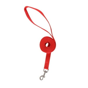 Defensor - Correa Plana Larga Resistente Para Perros 4,5 Metros X 2,5Cm Color Rojo
