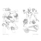 thumbnail image 2 of Anatomía Artística 6, 2 of 5