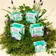 thumbnail image 4 of Almohadillas Sanitarias Herbal Super 64ct, 4 of 9
