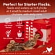 thumbnail image 5 of Comedero para pollos y bebedero de 2 L RentACoop, puerto mediano, 5 of 9