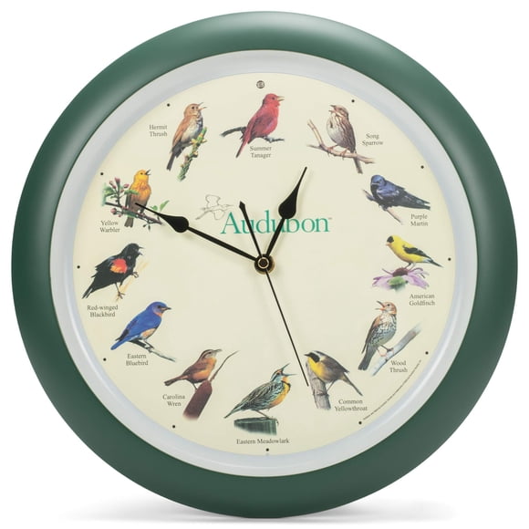 Reloj de pared Mark Feldstein Audubon Singing Bird 33 cm, color verde