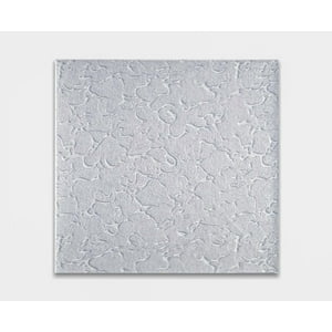 Acrílico Shower 84X172Cm Diseño Amazonas Dvp