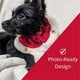 thumbnail image 2 of Pet Scrunchy | Santa (Pequeño) | Navidad festiva / Vacaciones cuello para perros / gatos | Divertido accesorio estirable disfraz | Collar suave con campanas, 2 of 3
