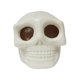 thumbnail image 4 of Novedad Juguete De Calavera Juguete Relajante Niños Niñas Bolas Relajantes De Calavera Elásticas, 4 of 5