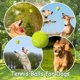 thumbnail image 3 of Pelotas de tenis mini GLECTG 5 cm – Pack de 9 juguetes para perros, 3 of 6