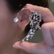 thumbnail image 2 of Gorgeous Butterfly Earrings for Ladies - No Piercing Needed!, 2 of 4