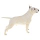 thumbnail image 2 of Figura De Modelo De Animal Realista, Figura De Perro De Juguete, Decoración Del Hogar, Bull Terrier, Blanco, 2 of 5
