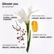 thumbnail image 3 of Perfume Glossier You Eau de Parfum 50 ml para hombre y mujer, 3 of 9