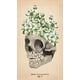 thumbnail image 2 of El Tarot De Anatomía Y Botánica Antiguas, 2 of 6