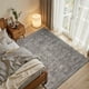 thumbnail image 2 of Alfombra Rugxara 91 × 150 cm Lavable - Color Topo/Gris, 2 of 9