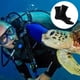 thumbnail image 4 of Calcetines de buceo de neopreno de 3 mm, calcetines de aletas de agua ultra premium, calcetines de snorkel con correas de ajuste para playa, natación, surf y deportes acuáticos., 4 of 8