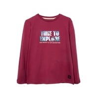 Pillin - Polera Niño Manga Larga Estampado Dinosaurio Burdeo