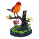 thumbnail image 3 of Canto Chirping Birds Electronic Animal Pets Accesorios Novedad Regalo C, 3 of 5