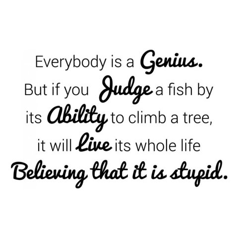 Rienda Libre Graphics - Decomural Everybody Is A Genius Inspirational Ws-43018