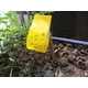 thumbnail image 3 of Tableros adhesivos Daycount® para atrapar trampas, tableros adhesivos amarillos para atrapar moscas, para plantas pequeñas, mosquitos, moscas blancas, pulgones y minadores de hojas. Trampas físicas de, 3 of 7