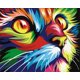 thumbnail image 1 of Kit Paint by Numbers Komking Color Cat para niños y adultos, 1 of 6