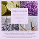 thumbnail image 4 of Aceite aromático Reed Diffuser 396 St. Vainilla y lavanda, 500 ml, 4 of 8