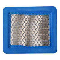 Erux - Filtro De Aire Motor Briggs & Stratton 625E 675Ex 725Ex 625