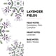 thumbnail image 2 of Recarga de fragancia Maison Berger Lavender Fields 1L, 2 of 9