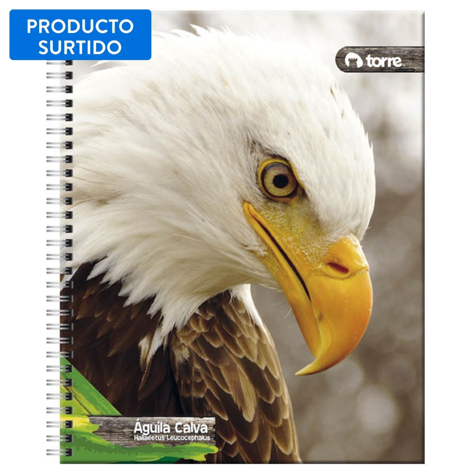 Cuaderno Universitario Fauna 100 Hojas / Producto Surtido 1 Un Torre