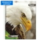 thumbnail image 1 of Cuaderno Universitario Fauna 100 Hojas  / Producto surtido, 1 Un, 1 of 9